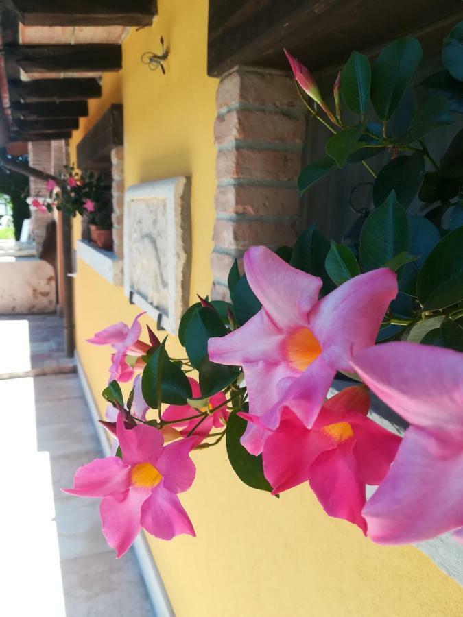 La Brigata Apartments Yellow House Cavallino-Treporti Exterior foto